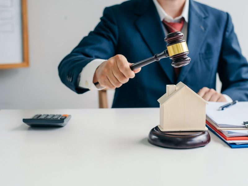 image_of_lawyer_holding_a_auction_hammer_on_model_2023_11_27_05-min